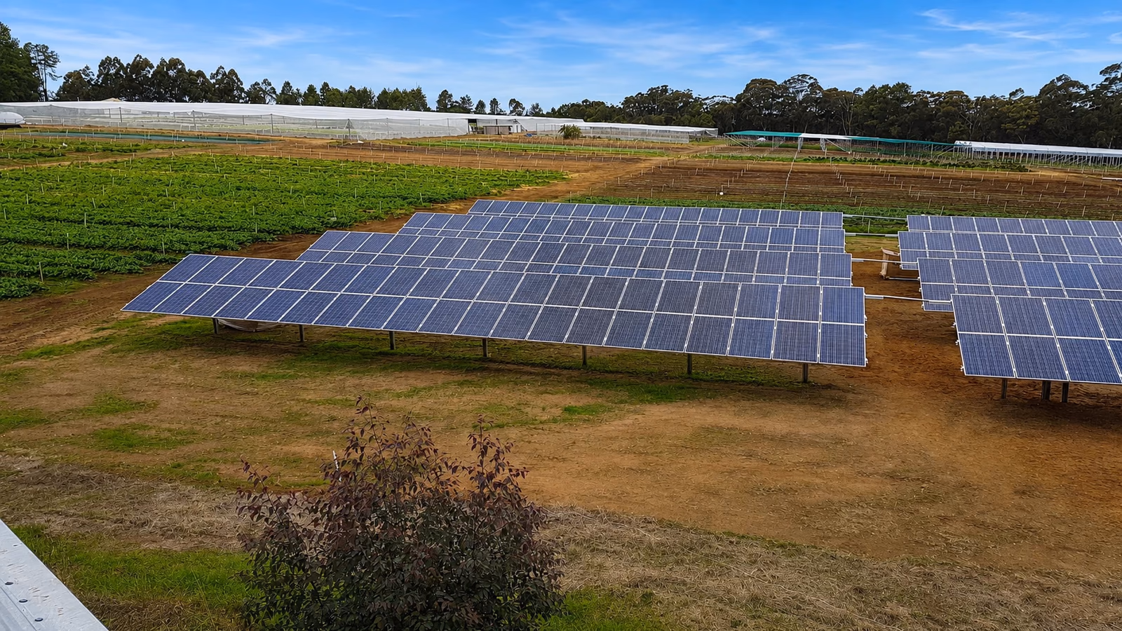 Kulnura 150 kW ground-mounted array